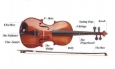 Dạy đàn violin cho người lớn tại nhà